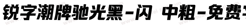 锐字潮牌驰光黑-闪 中粗字体转换